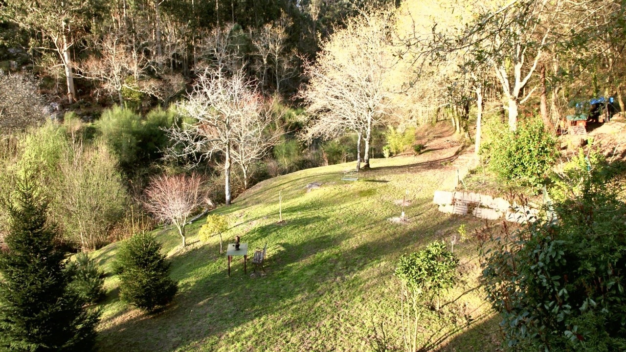 Photo of Outdoor in Gondomar