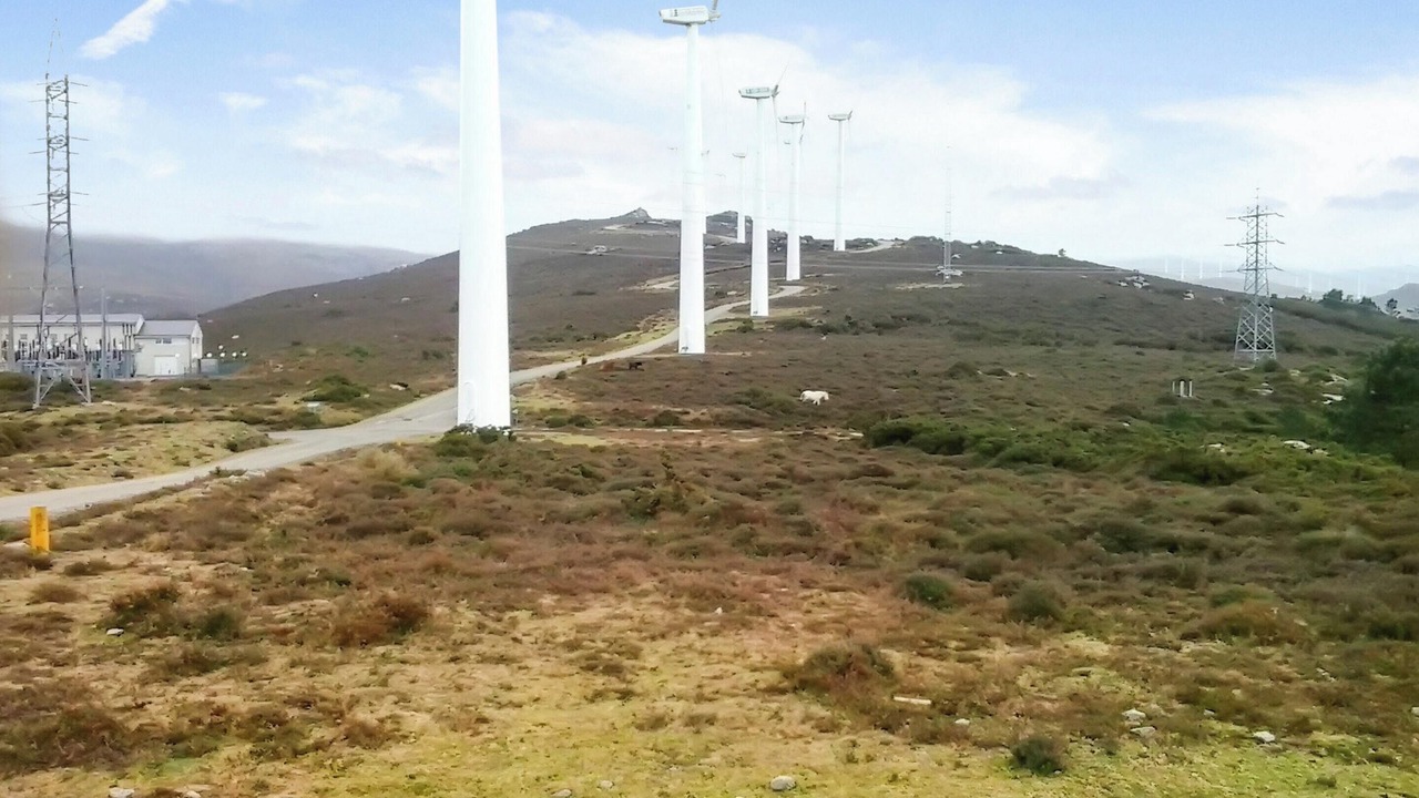 Photo of Others in Ourol