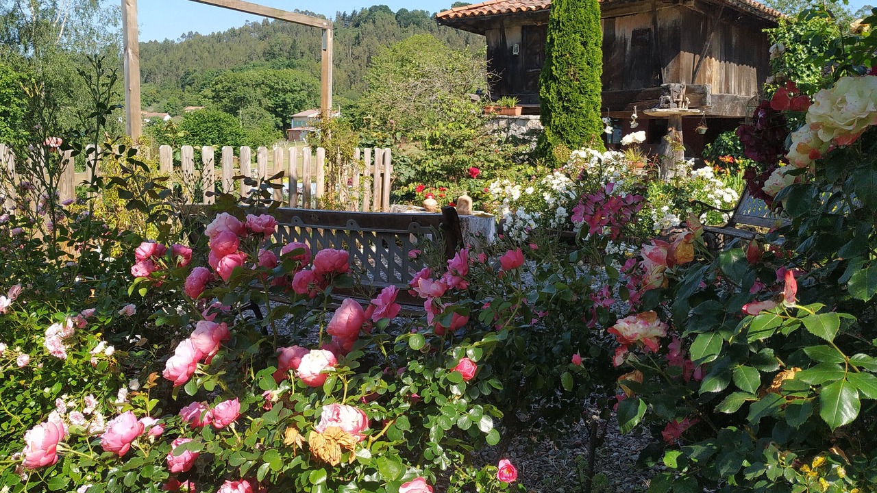 Photo of Outdoor in Viobes