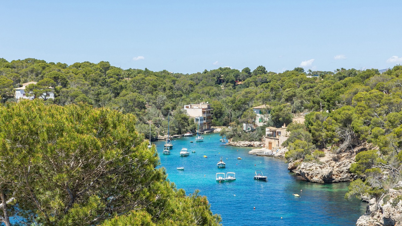 Photo of Others in Cala Figuera