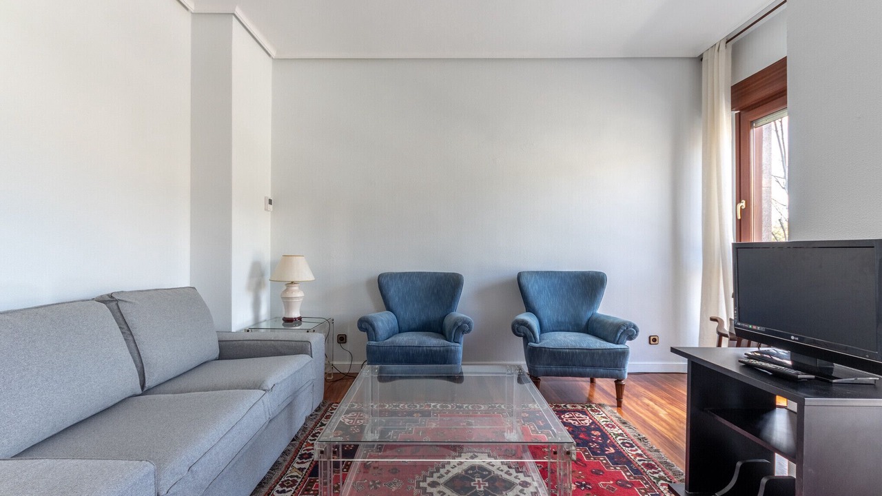 Photo of Livingroom in Abando