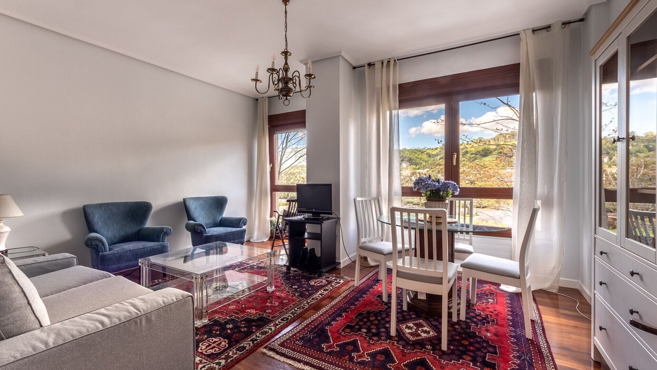 Photo of Livingroom in Abando