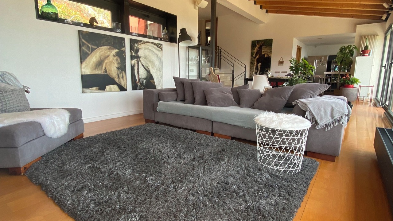 Photo of Livingroom in Vallromanes