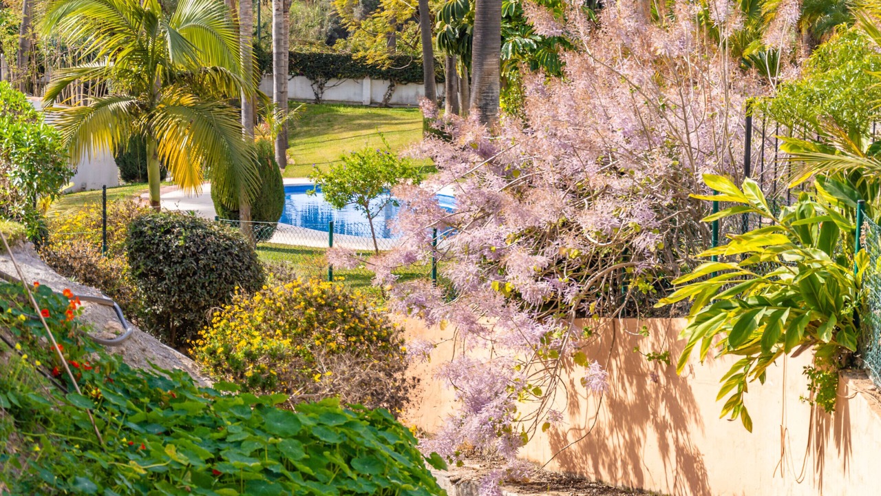 Photo of Outdoor in Oasis del Capistrano