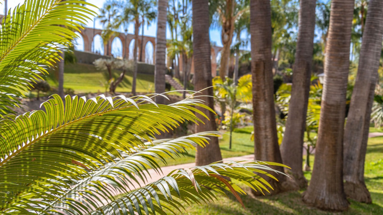 Photo of Outdoor in Oasis del Capistrano