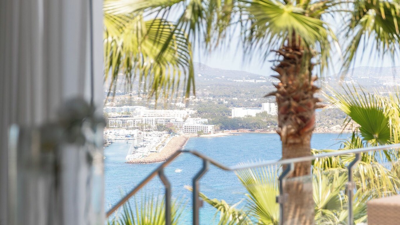 Photo of Outdoor in Siesta