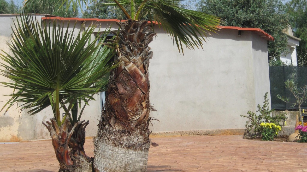 Photo of Outdoor in Lliria