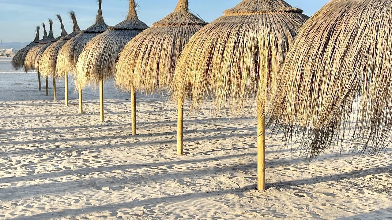 Photo of Others in La Pineda