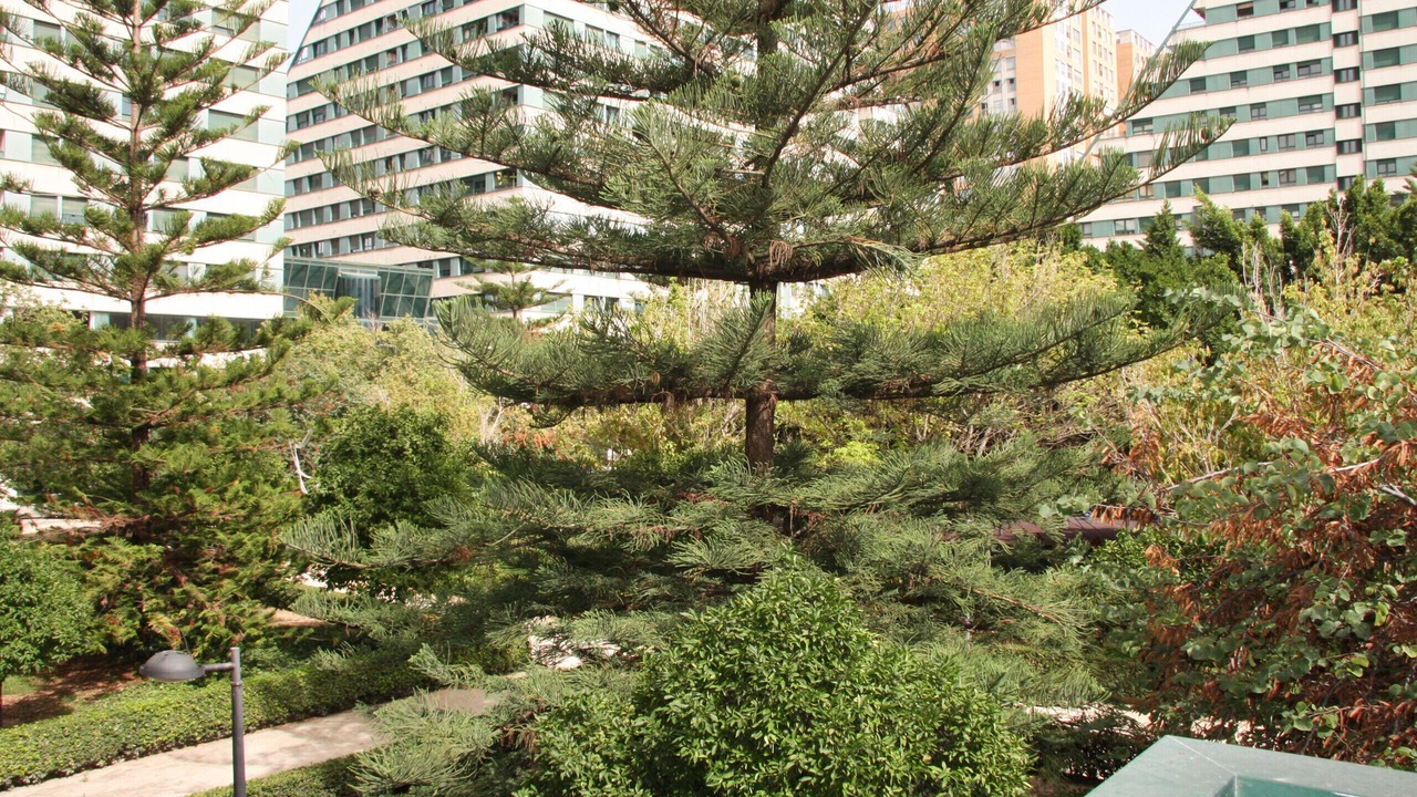 Photo of Outdoor in Ciutat de les Arts i les Ciencies