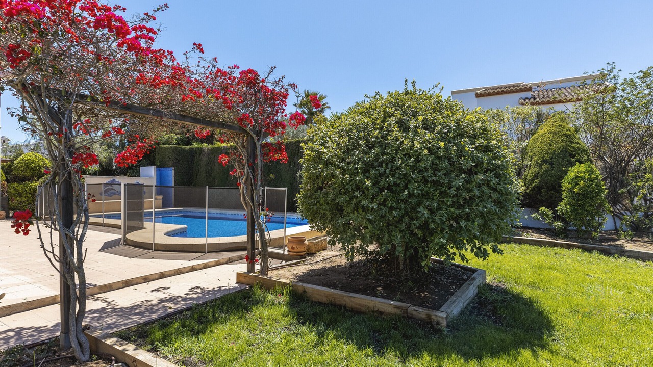 Photo of Outdoor in Costa Nova