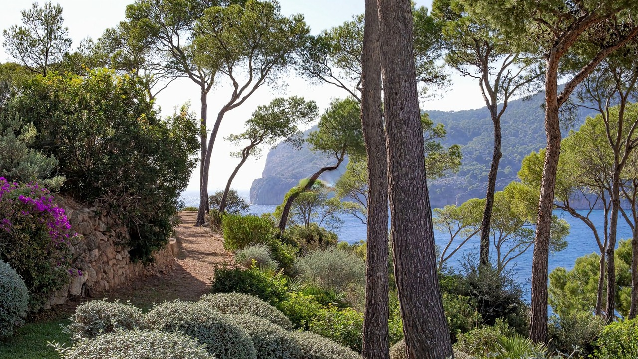 Photo of Outdoor in Camp de Mar