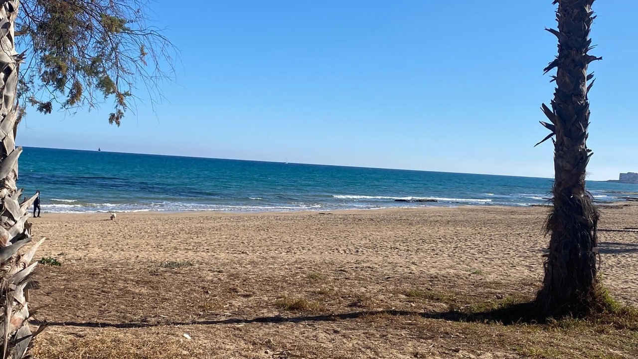 Photo of Others in La Mata