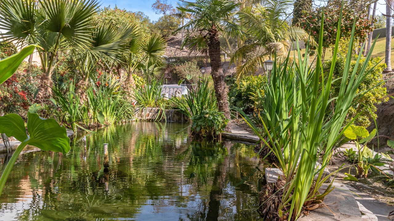 Photo of Outdoor in Oasis del Capistrano