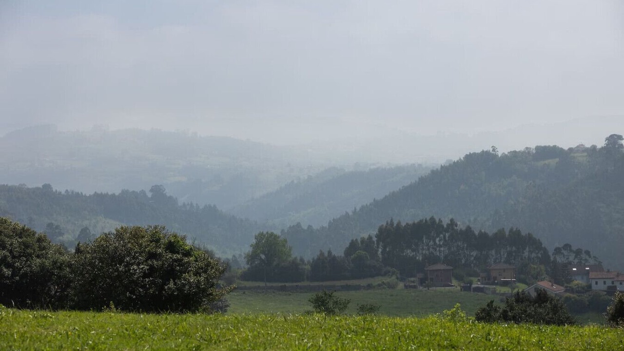 Photo of Others in Lloreda