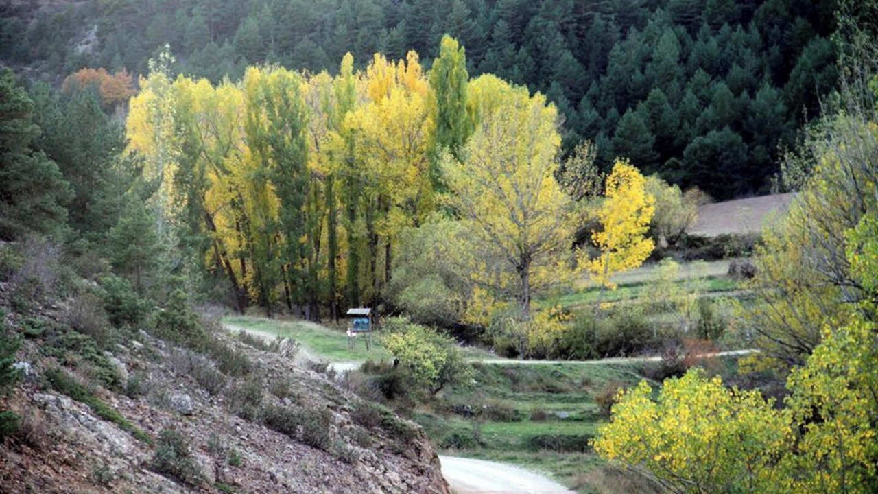 Photo of Outdoor in Bronchales
