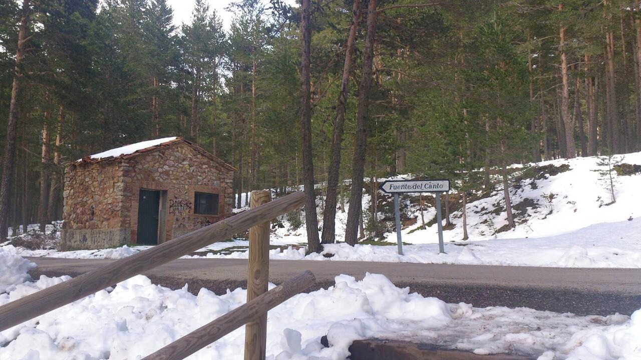 Photo of Others in Bronchales