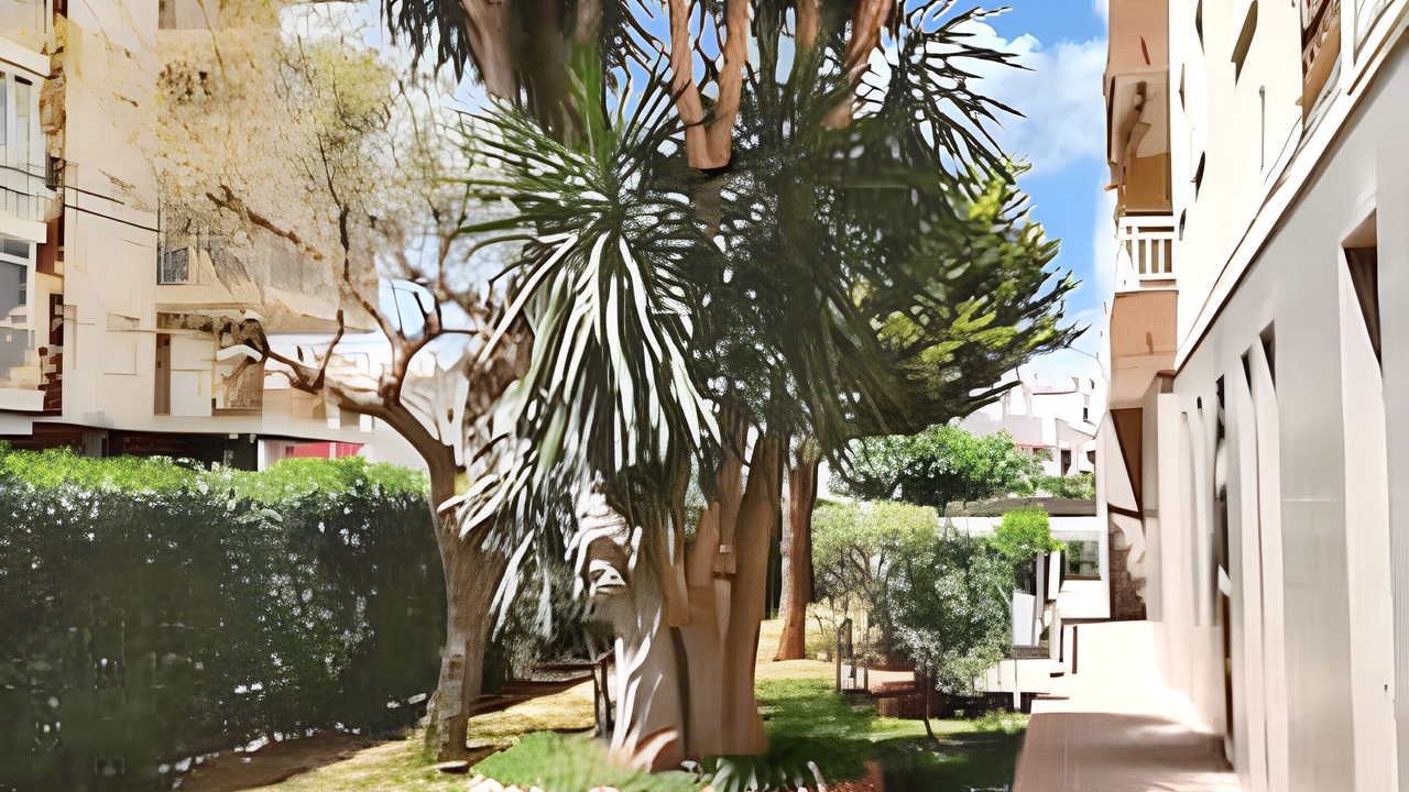 Photo of Outdoor in Benicassim