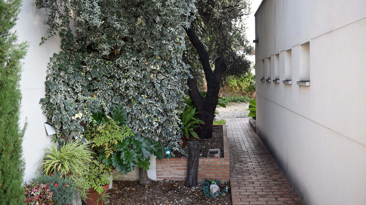 Photo of Outdoor in Province of Toledo