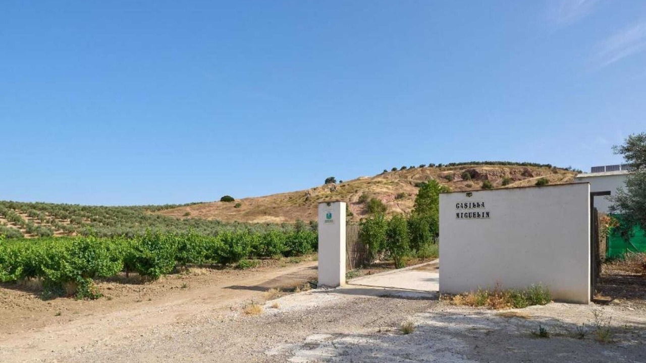 Photo of Others in Montilla