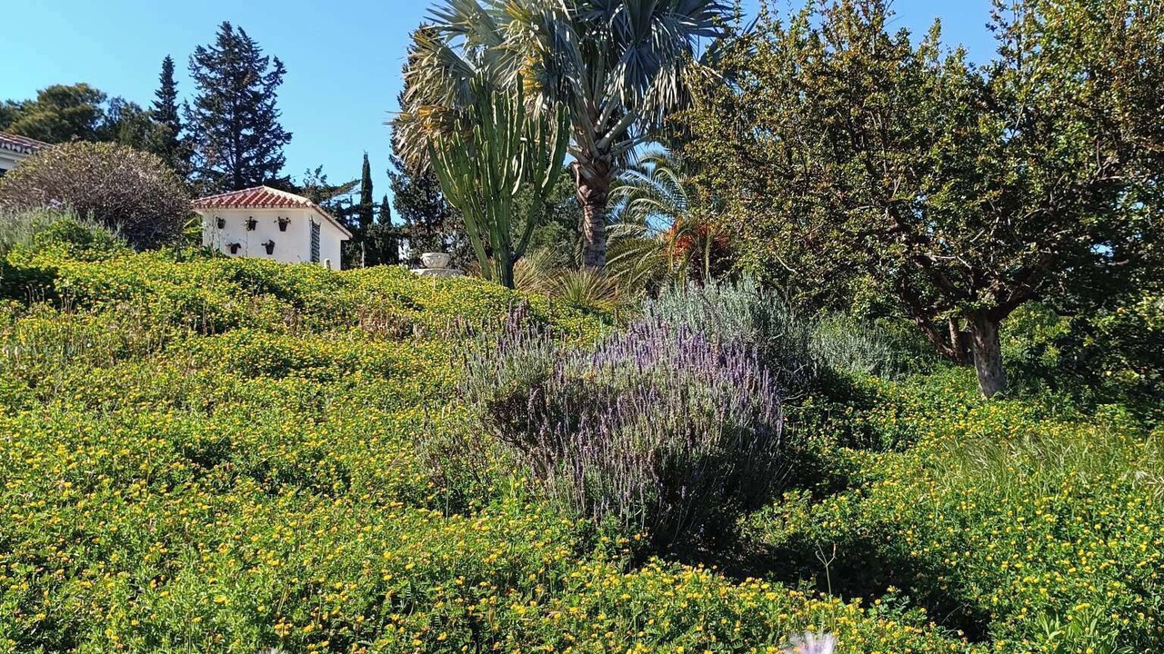 Photo of Outdoor in Benajarafe