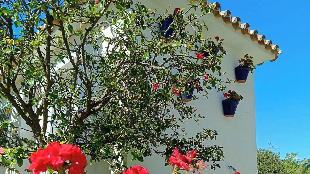 Photo of Outdoor in Benajarafe