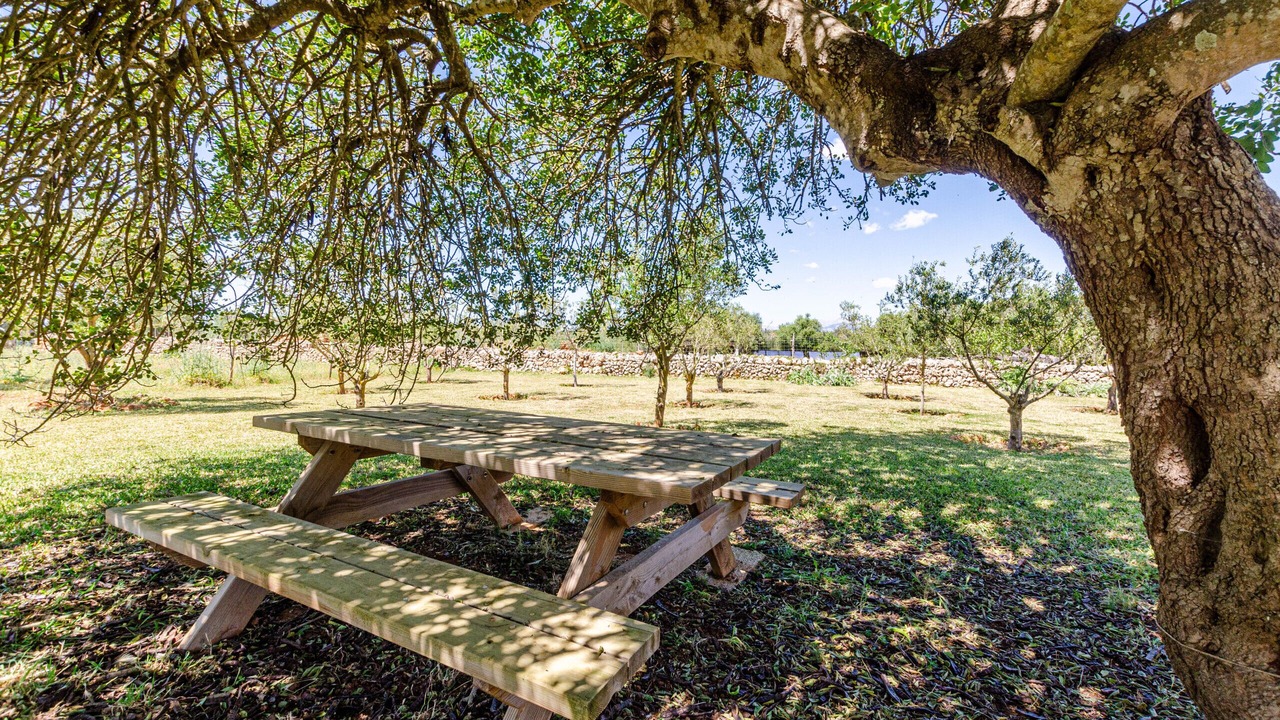 Photo of Outdoor in Lloret de Vistalegre