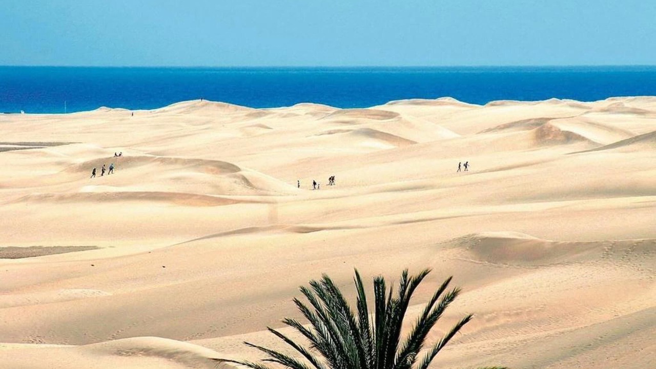 Photo of Others in Salobre