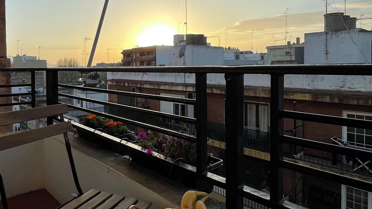 Photo of Outdoor in Sueca