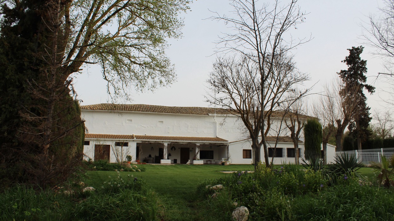 Photo of Outdoor in Horcajo de Santiago