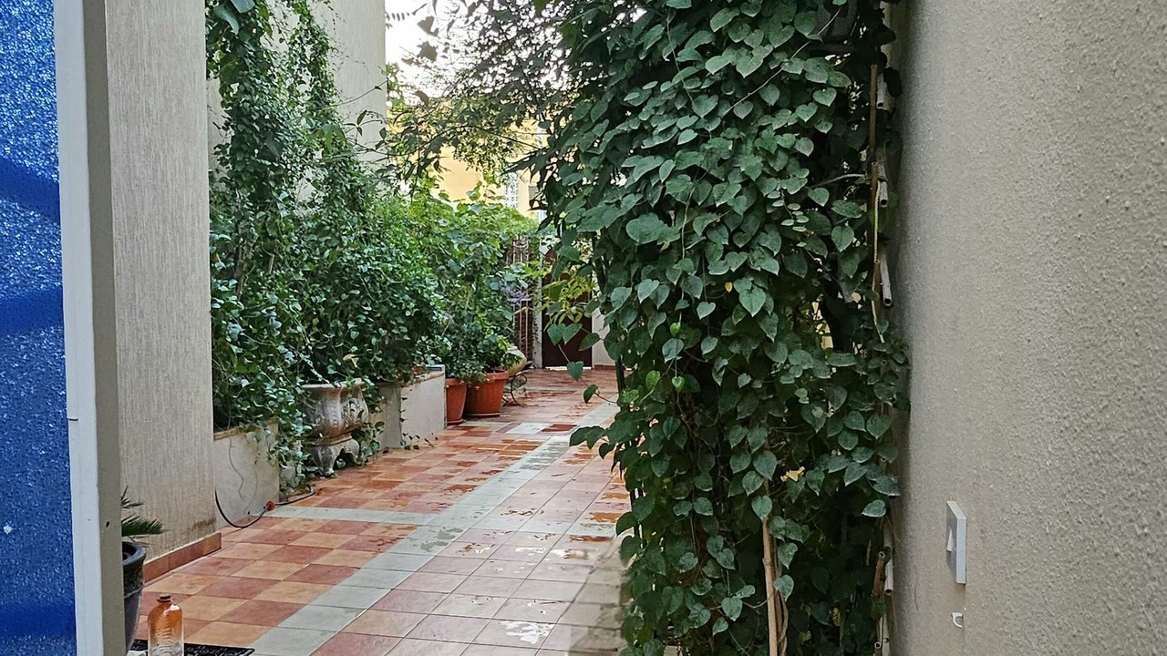 Photo of Outdoor in Riyadh