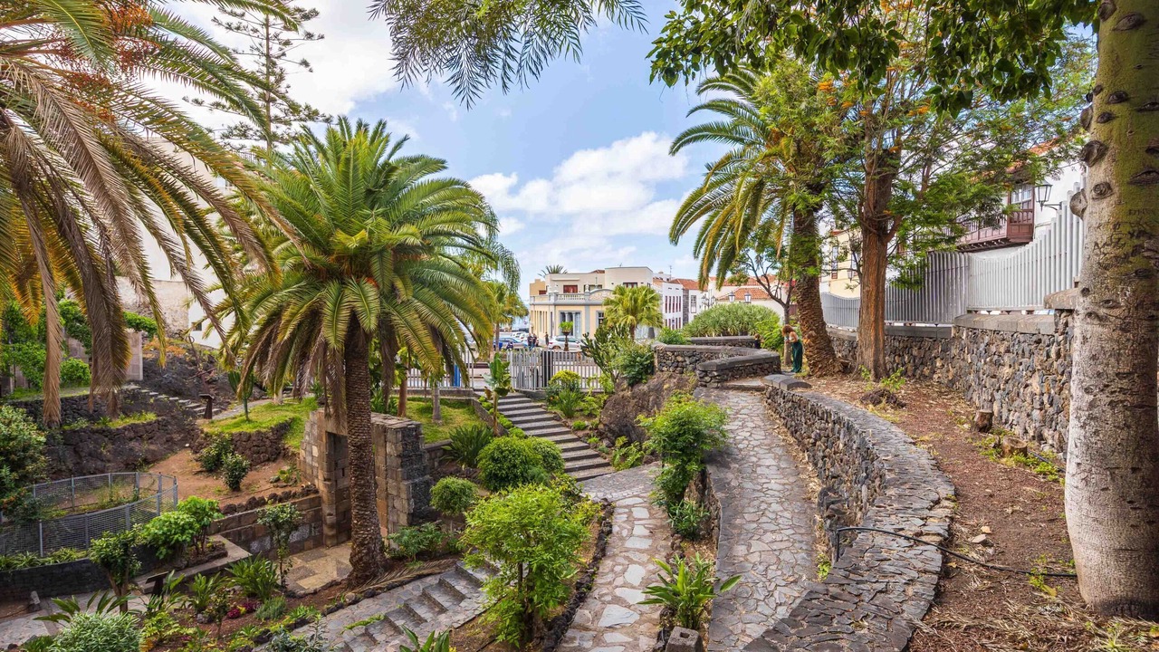 Photo of Outdoor in Garachico