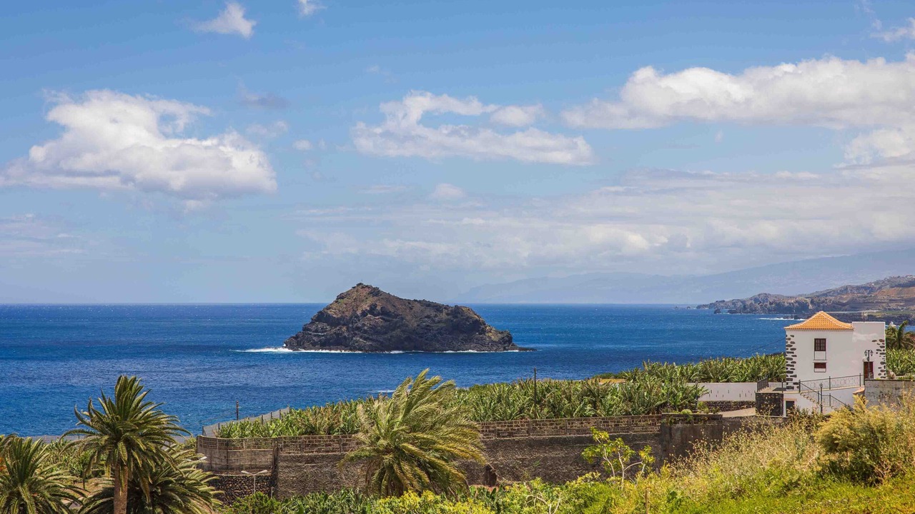 Photo of Others in Garachico