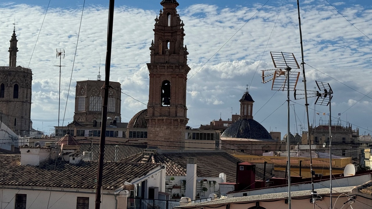 Photo of Others in La Seu