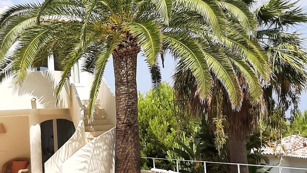 Photo of Outdoor in Mar Azul