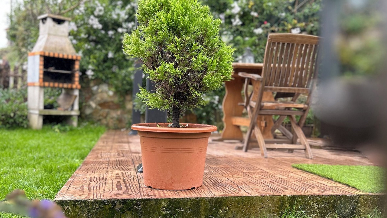 Photo of Outdoor in Las Rubias