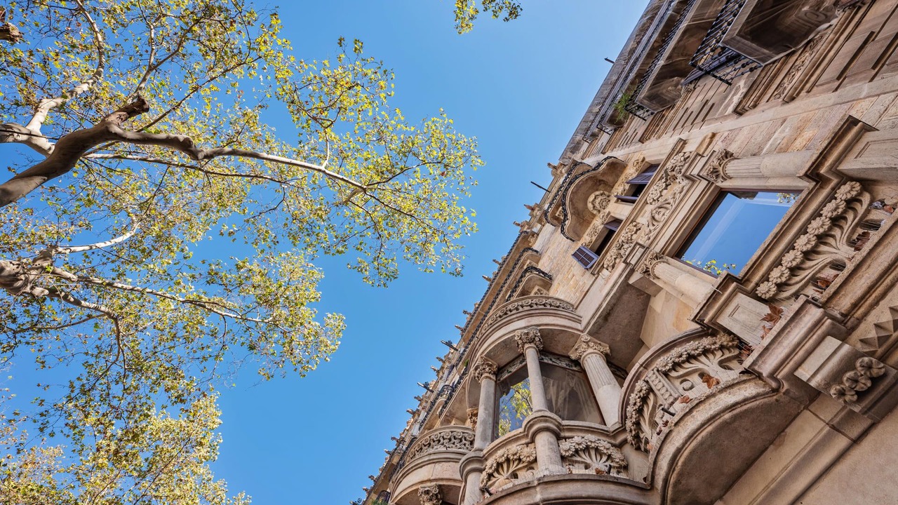 Photo of Others in Esquerra de l'Eixample