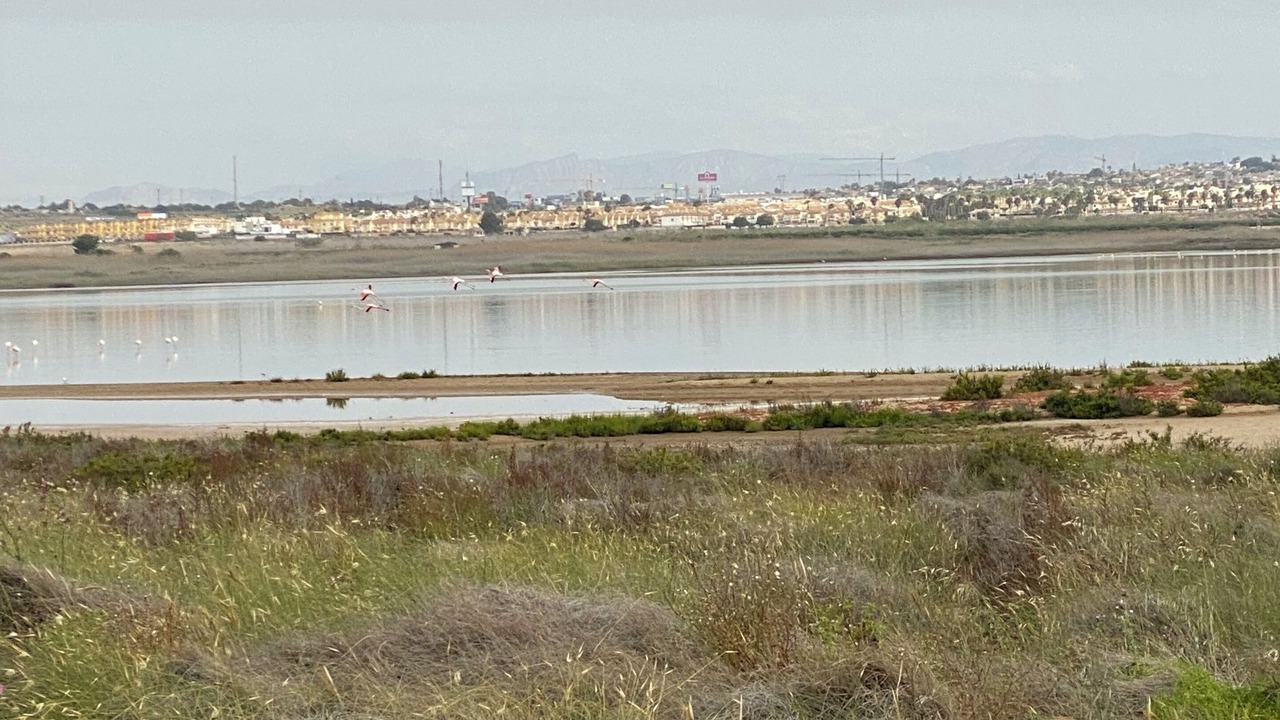 Photo of Others in San Luis
