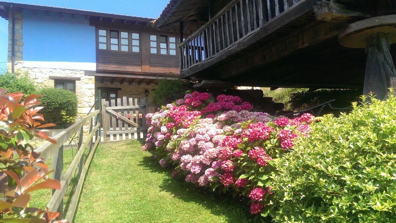 Photo of Outdoor in Pruneda