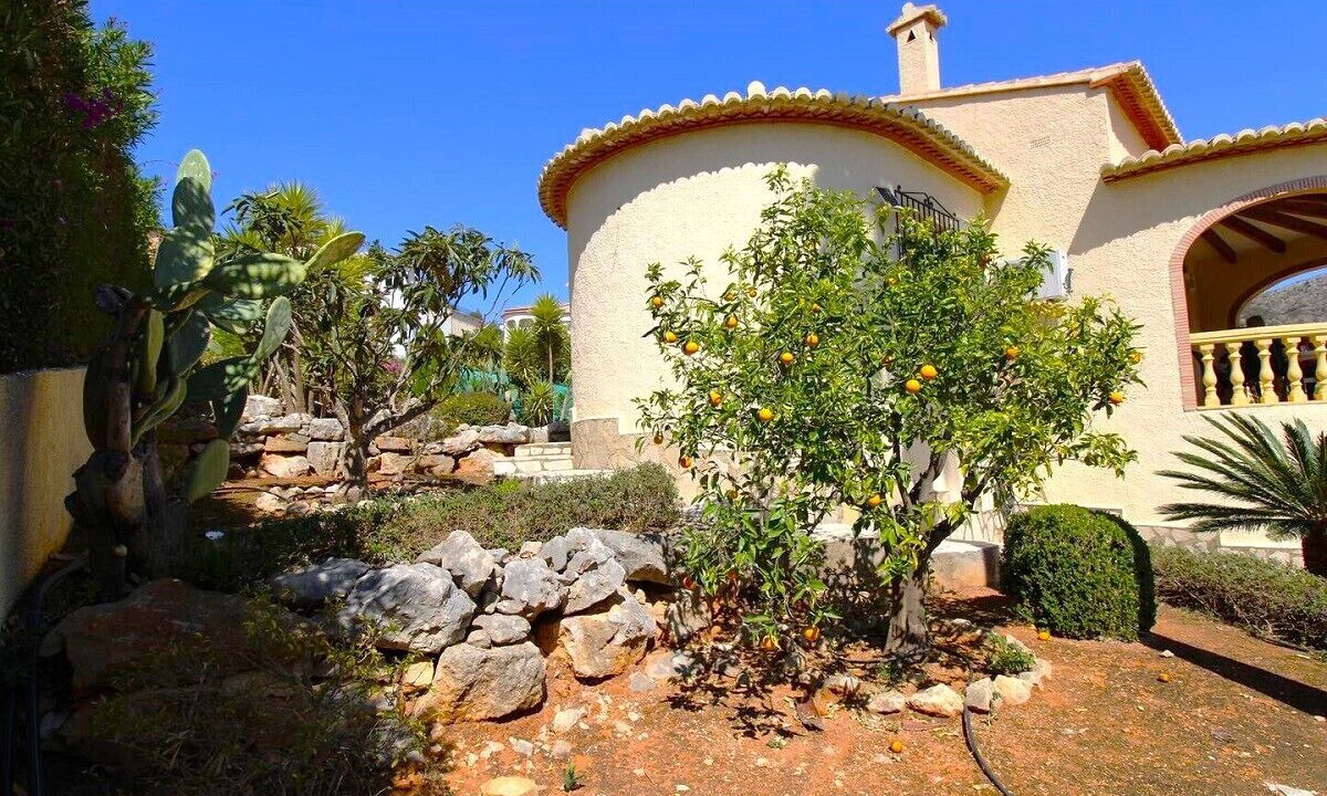 Photo of Outdoor in Pedreguer