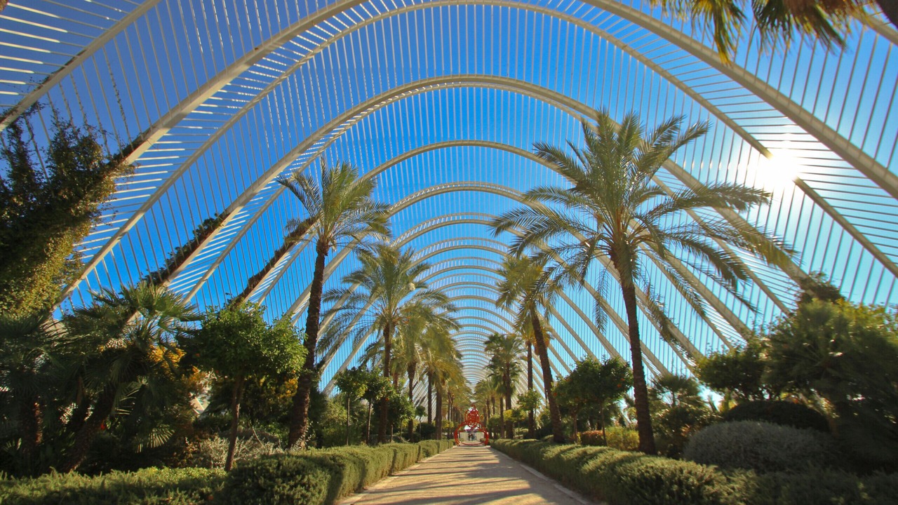 Photo of Outdoor in Camins al Grau