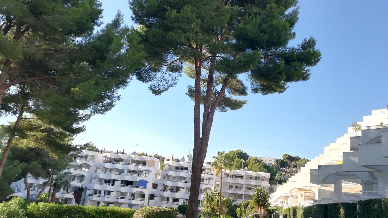 Photo of Outdoor in Cala Vinas