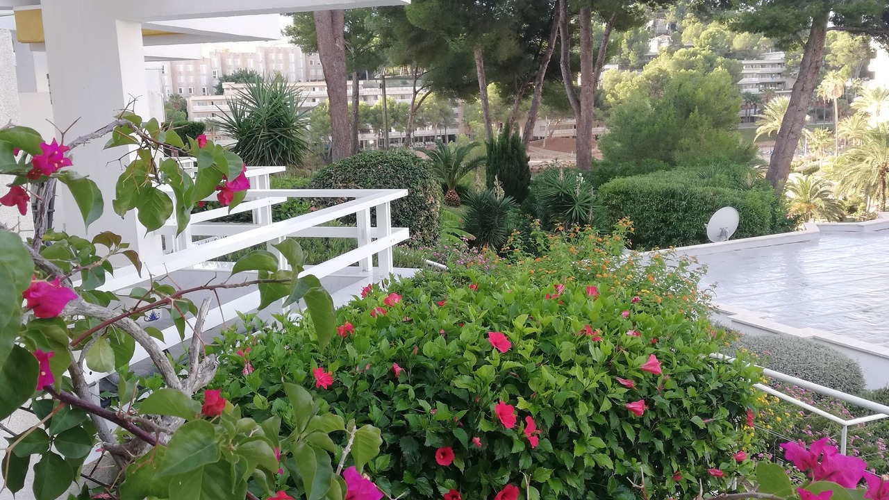 Photo of Outdoor in Cala Vinas