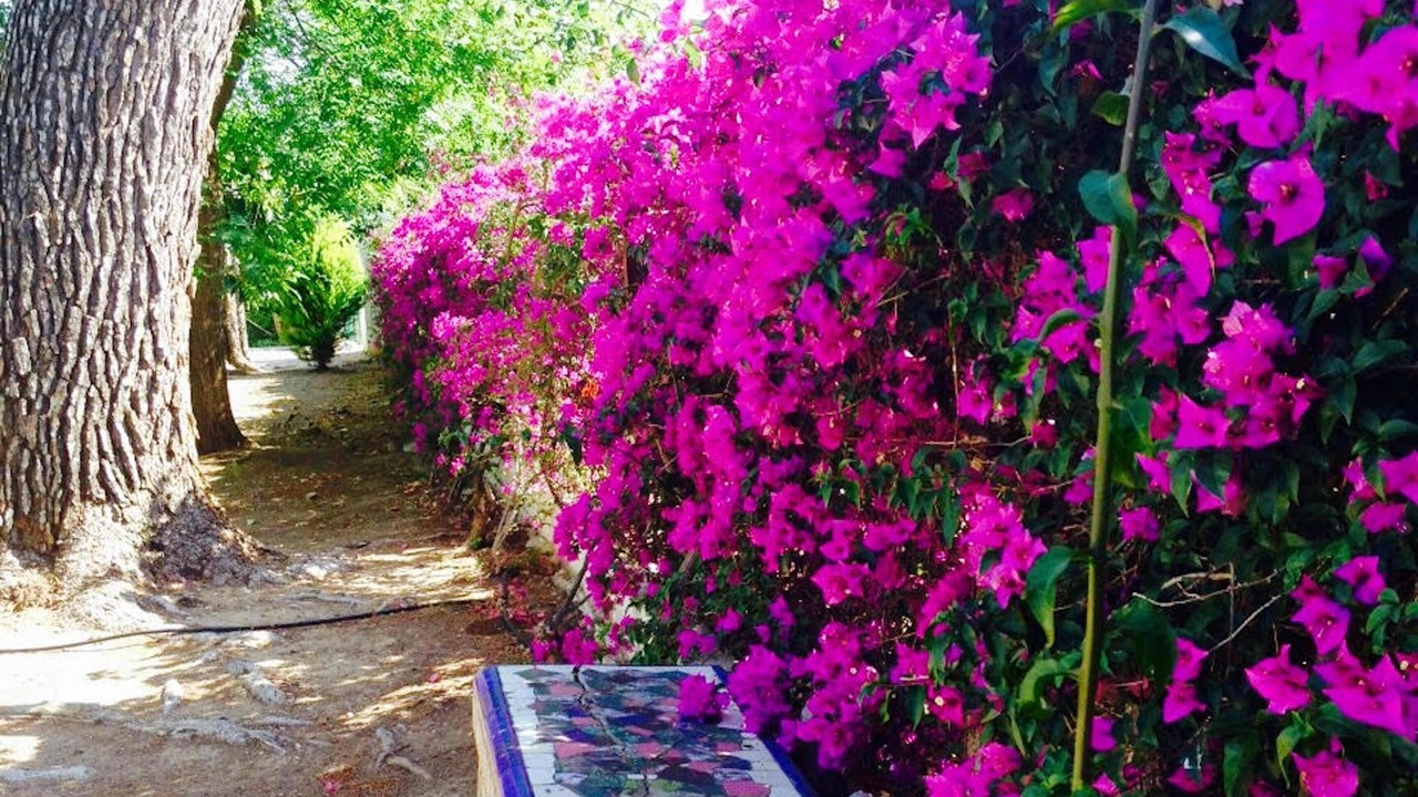 Photo of Outdoor in Ondara