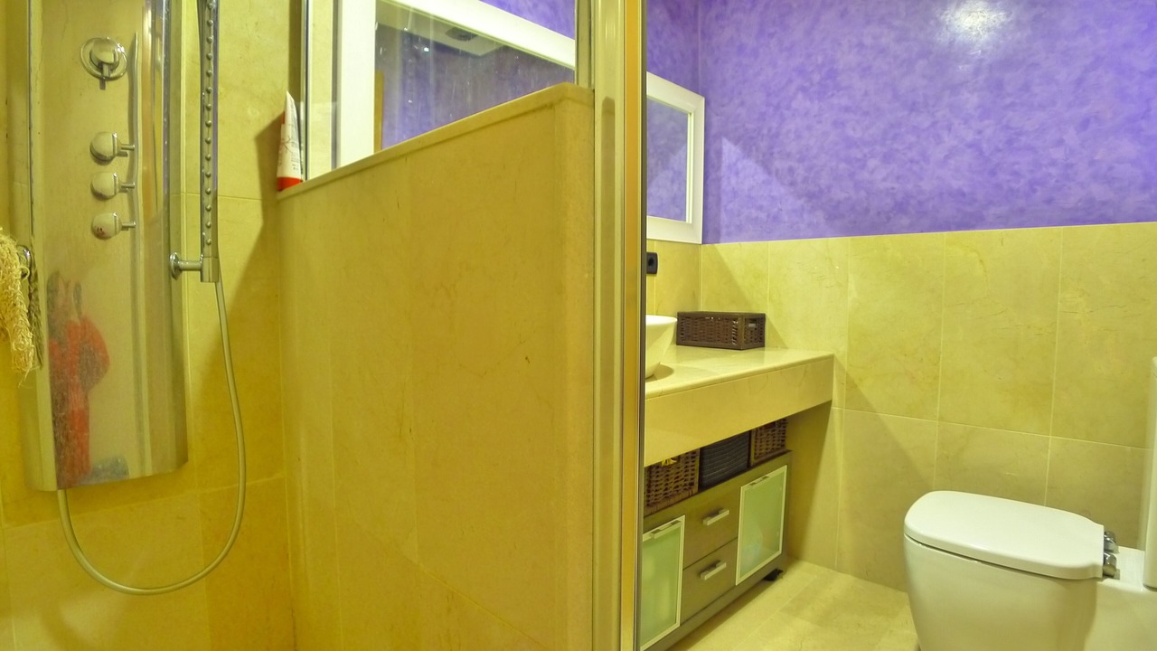 Photo of Bathroom in Los Secanos