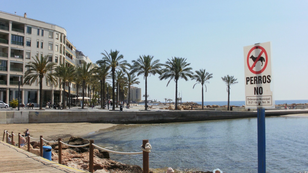 Photo of Others in Torrevieja