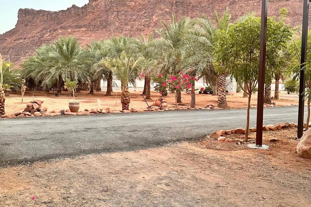 Photo of Others in AlUla