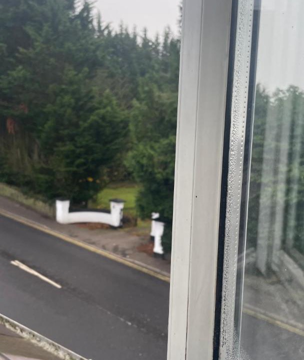 Photo of Others in Antrim