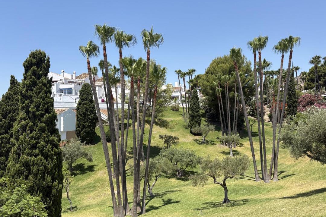 Photo of Others in Oasis del Capistrano