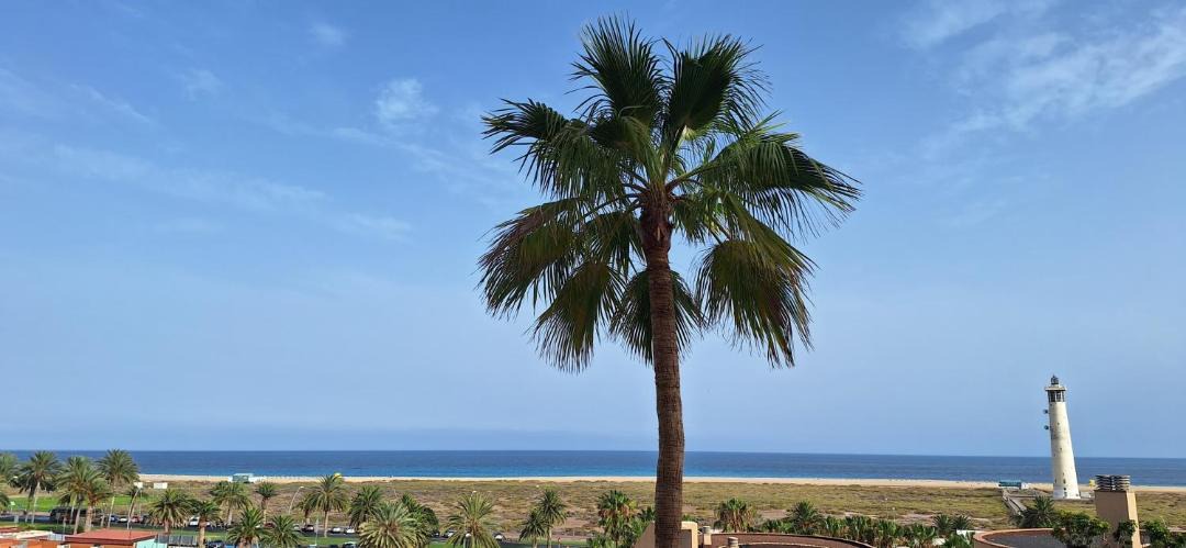 Photo of Others in Solana del Matorral