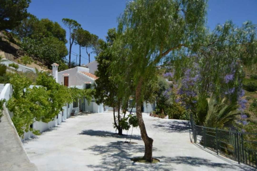 Photo of Others in Competa